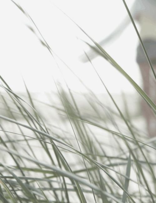 Somatic Therapy, Breathwork & Cancer Empowerment